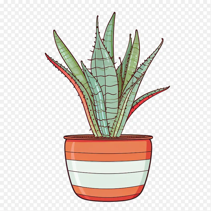 芦荟-芦荟