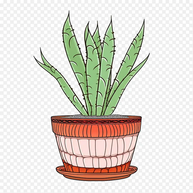 芦荟-芦荟