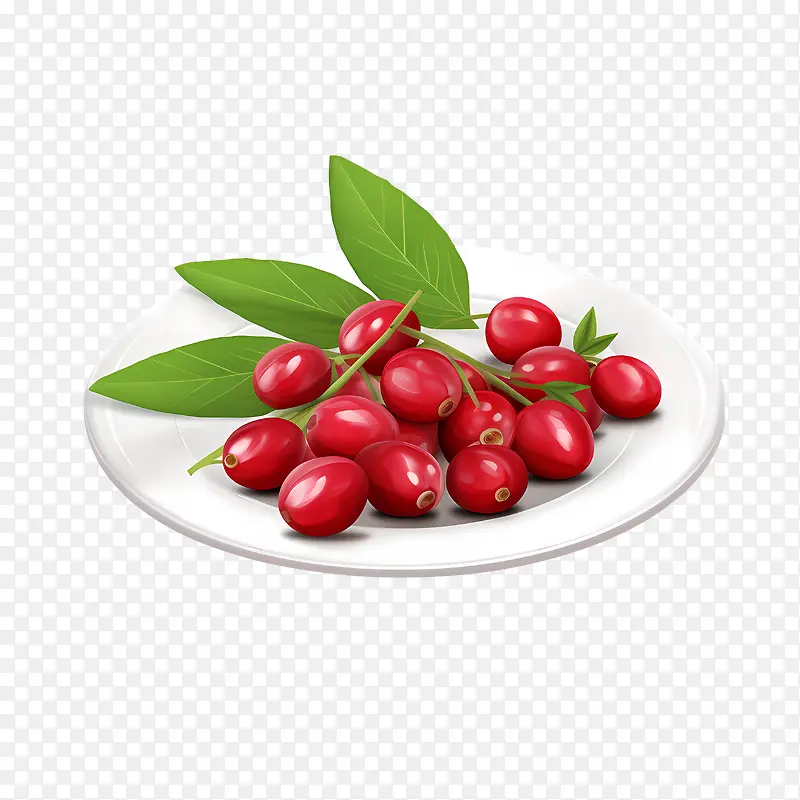 红蔓越莓-健康食品