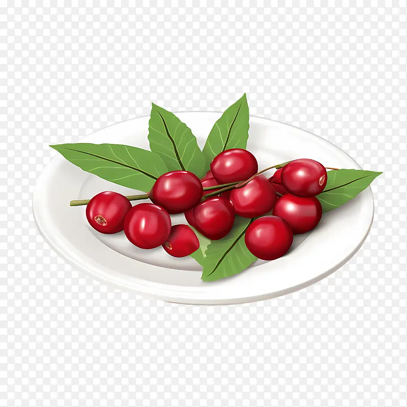 红蔓越莓-红蔓越莓成熟浆果水果红色