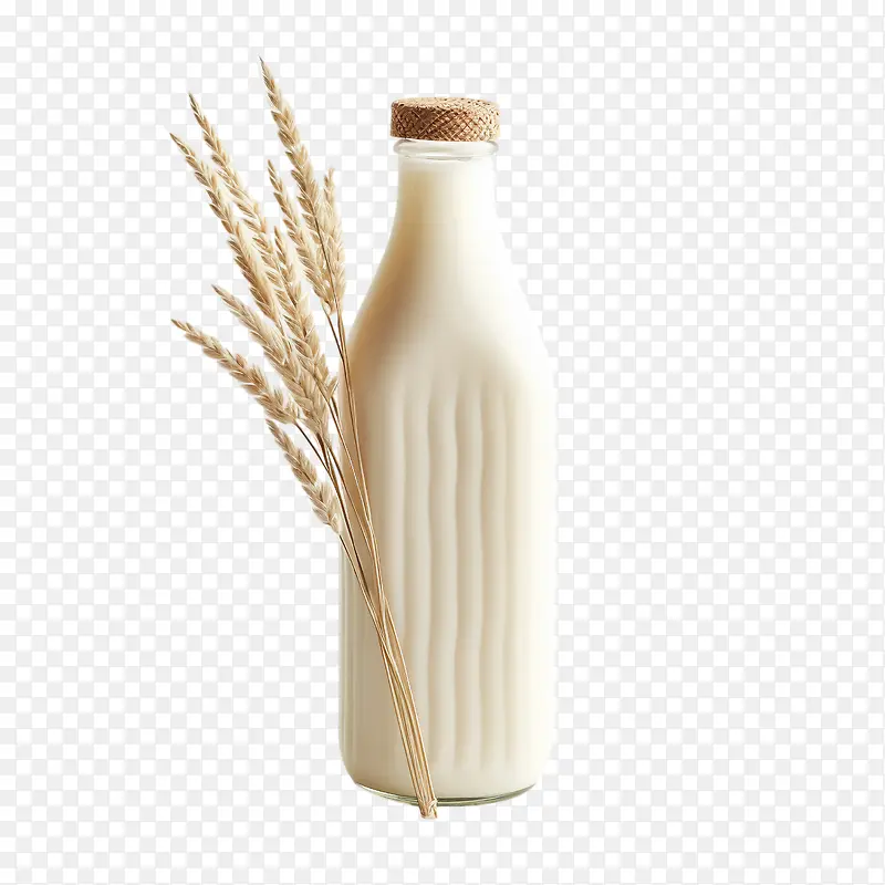 世界植物奶日——小麦