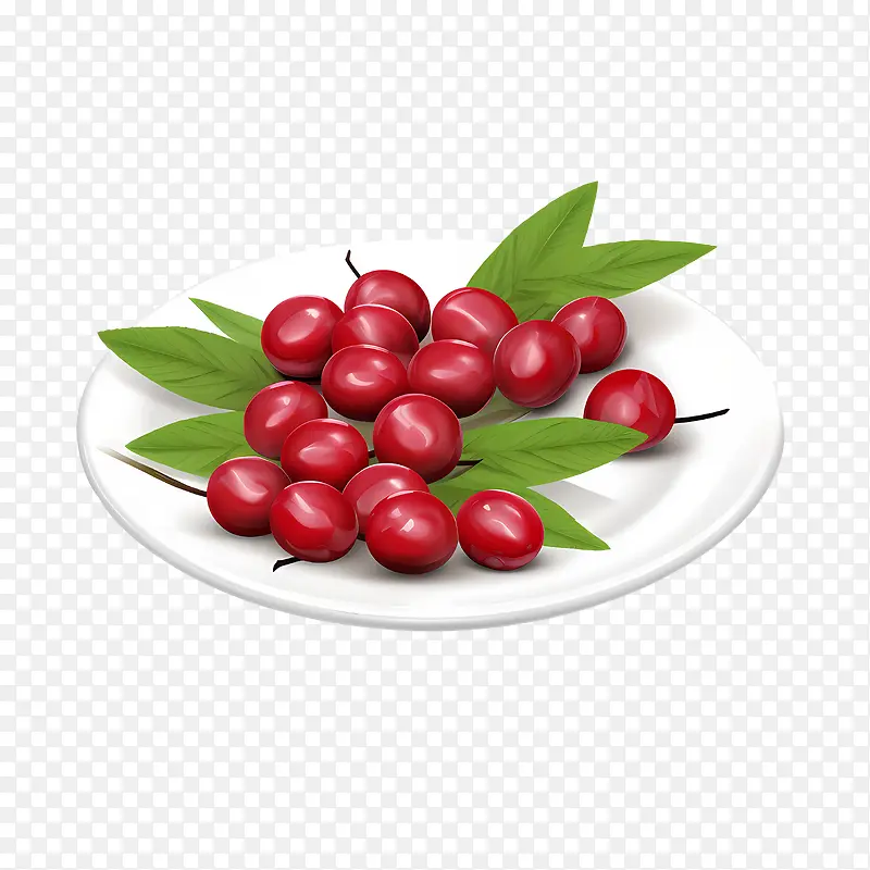 红蔓越莓-红蔓越莓樱桃水果食品碗