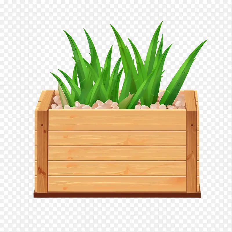 芦荟-芦荟