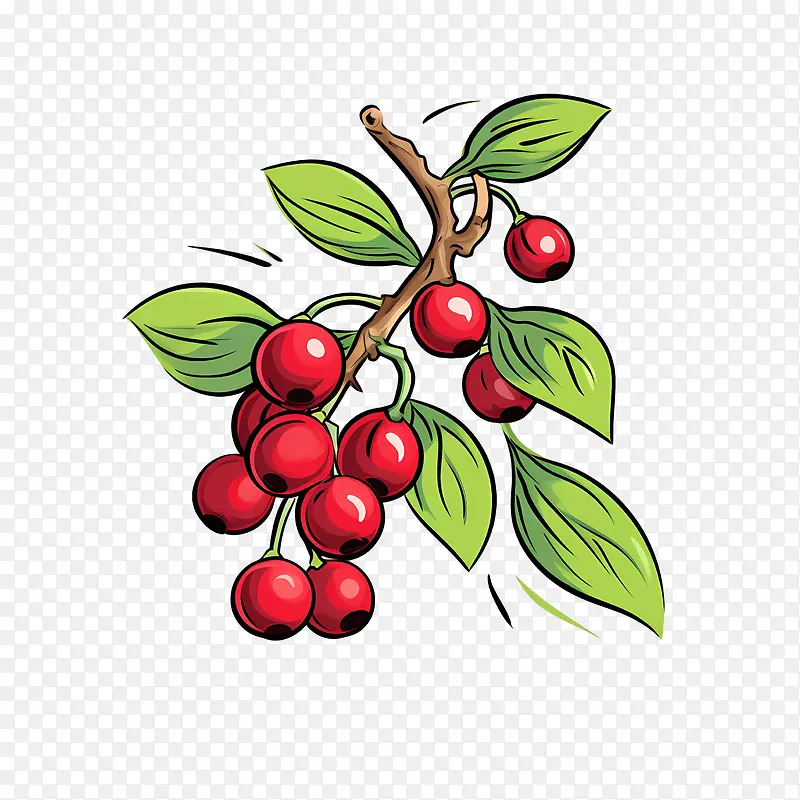 红蔓越莓-红蔓越莓樱桃红色果树