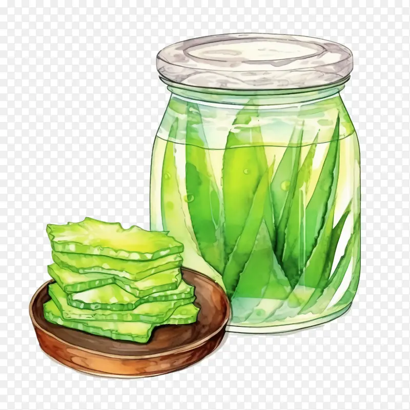 芦荟-芦荟
