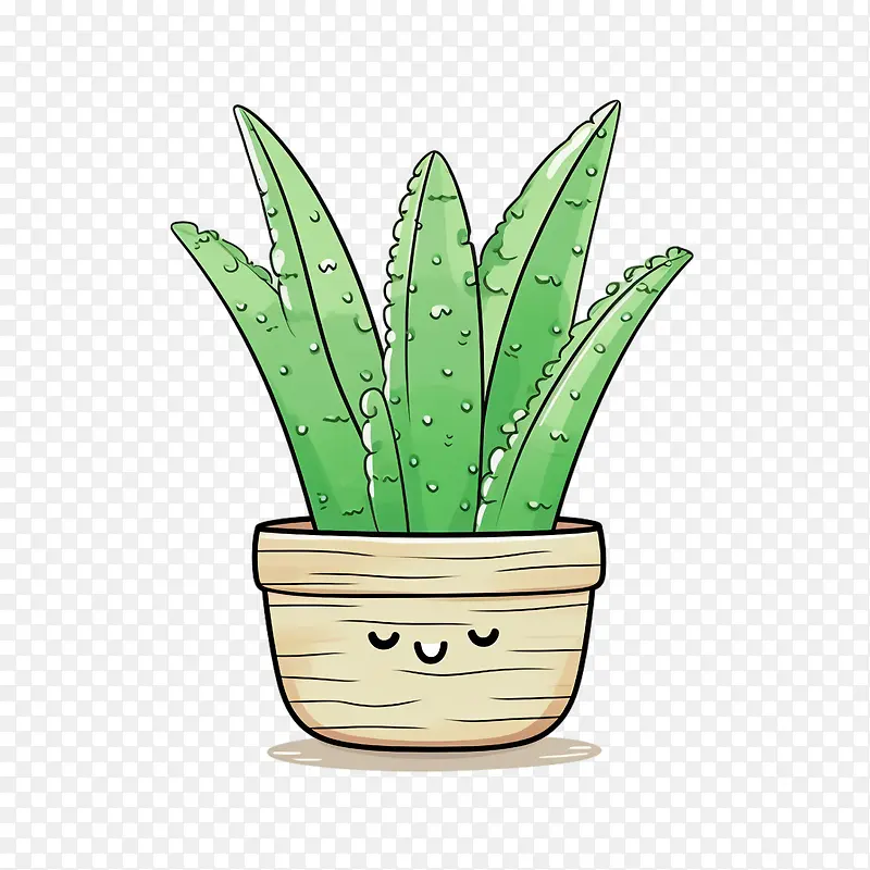芦荟-芦荟