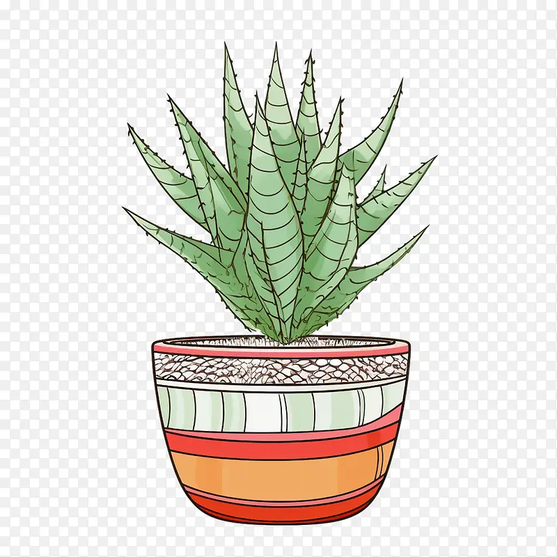 芦荟-芦荟