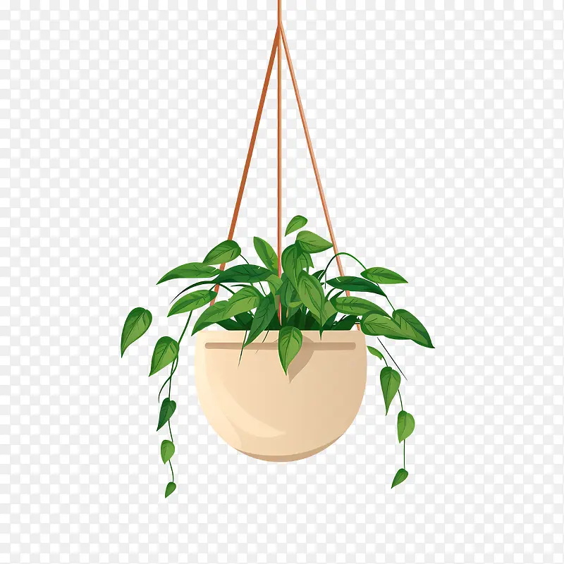 悬挂式盆栽植物-悬挂式盆栽植物悬挂式花盆攀缘植物攀缘藤蔓