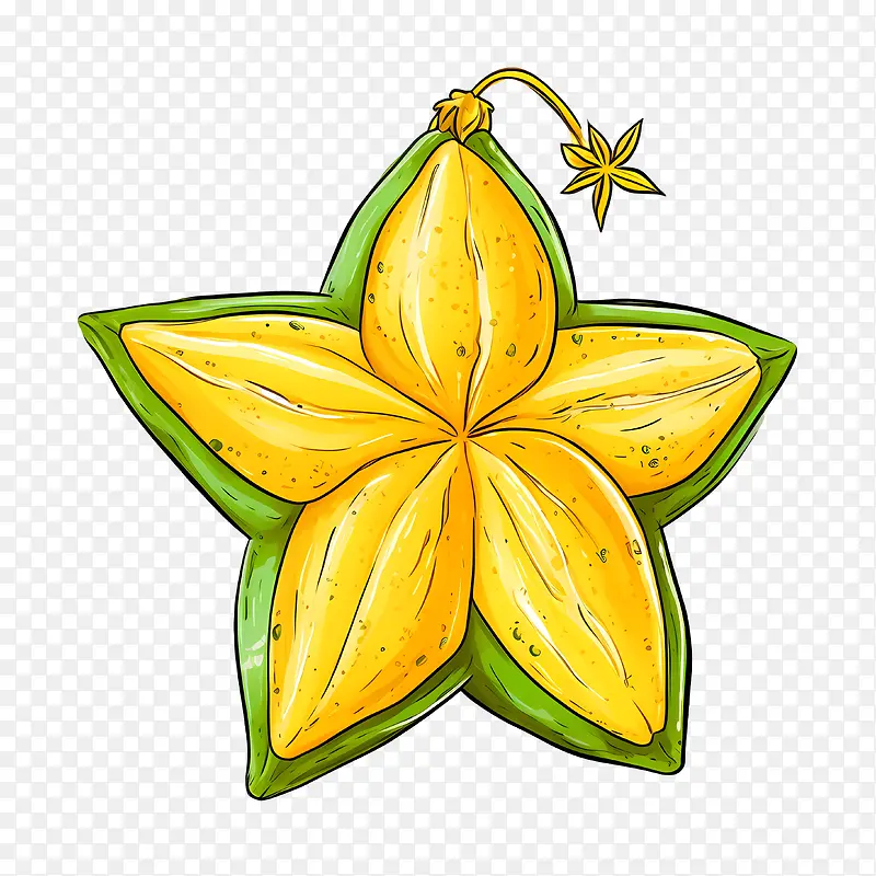杨桃-杨桃黄星花茎