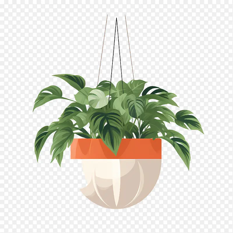 带盆栽的悬挂植物-带盆栽的悬挂植物盆栽植物悬挂花盆悬挂植物