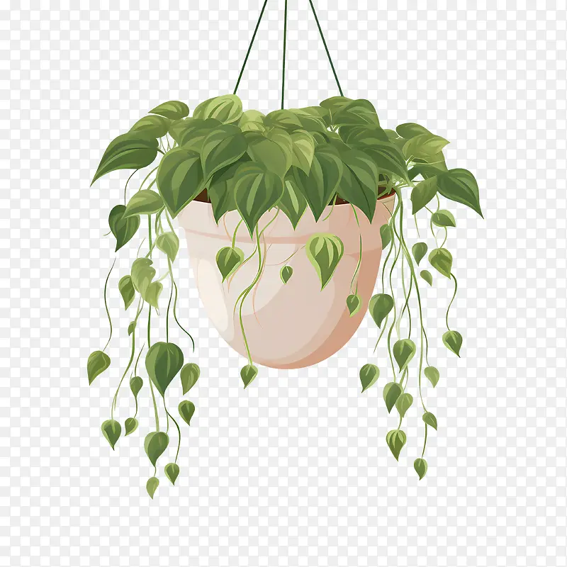 带盆的悬挂植物-花卉装饰