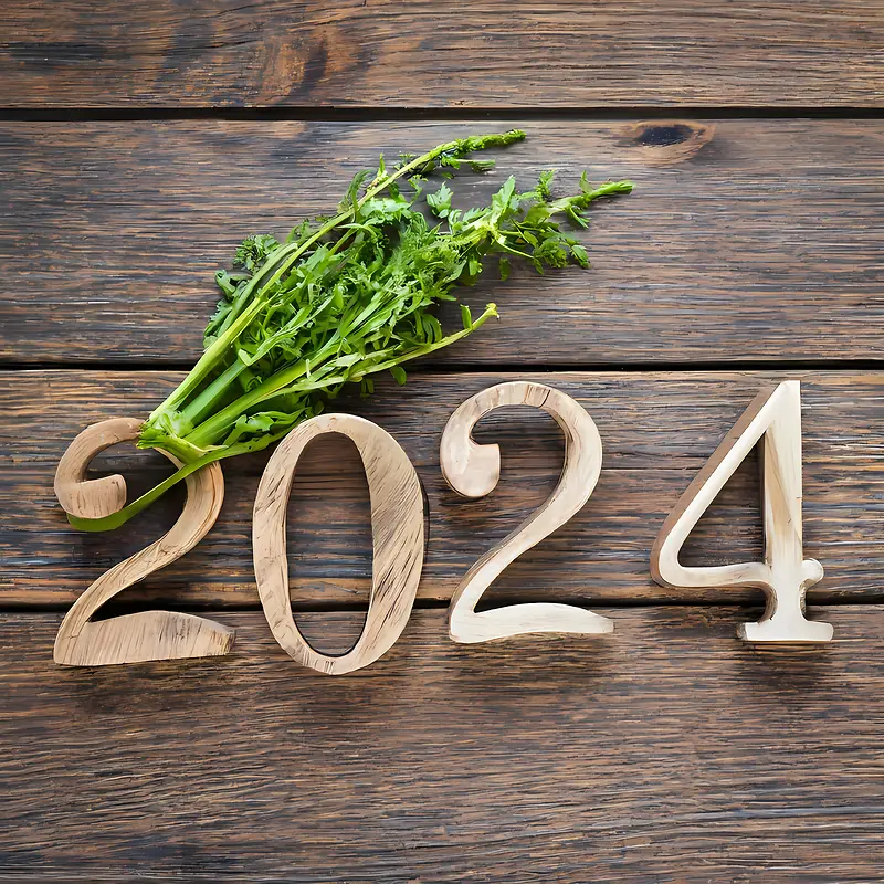 2024年新年-2024年新年数字木叶花园