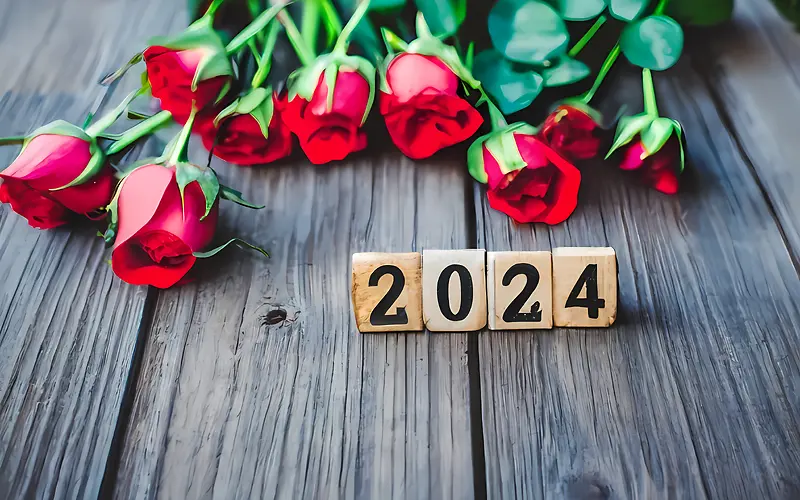 2024年新年-2024年新年