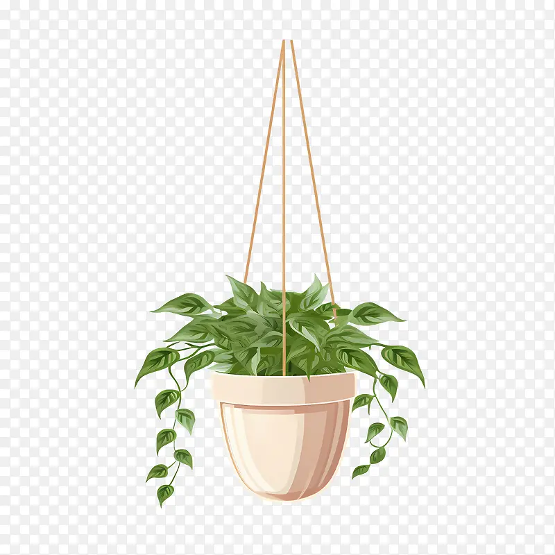 带盆的悬挂植物-藤蔓