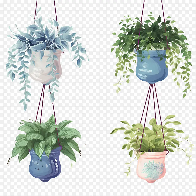 带盆的悬挂植物-带盆的悬挂植物悬挂植物盆栽悬挂花盆室内植物