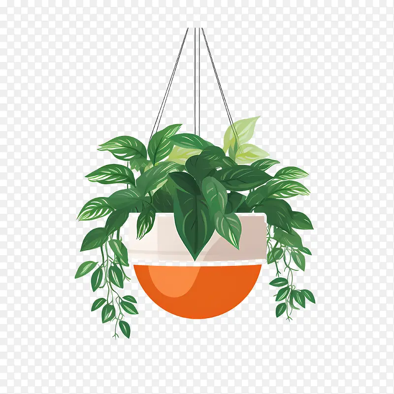 悬挂式盆栽植物-悬挂式盆栽植物悬挂式花盆绿化盆栽