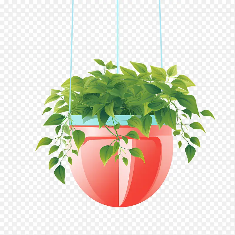 带盆的悬挂植物-花盆