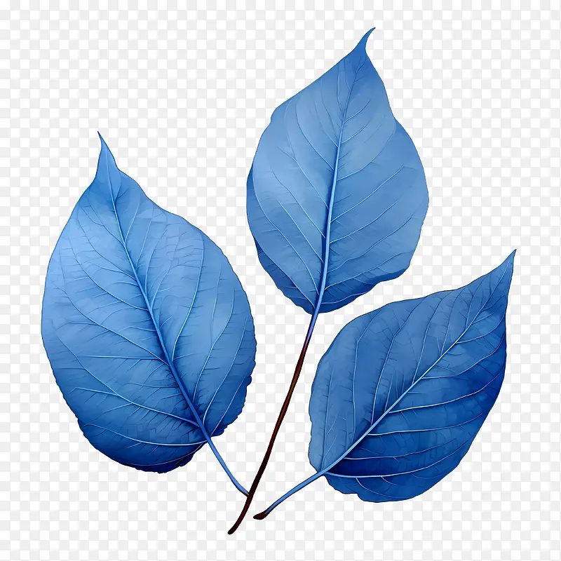 蓝色的叶子-蓝色的叶子水彩叶子植物摘要