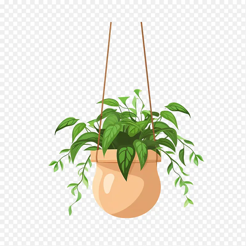 带盆的悬挂植物-藤蔓