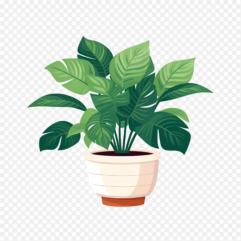 室内植物鉴赏日——仙人掌
