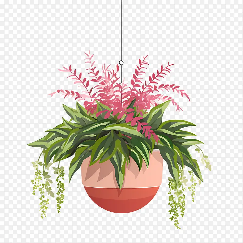 带盆的悬挂植物-花盆