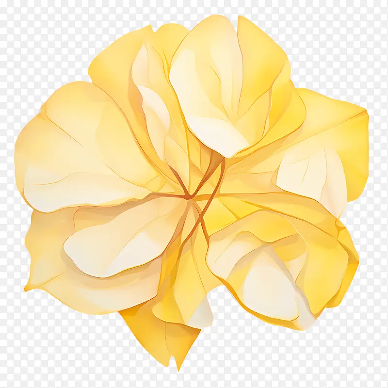黄色玫瑰花瓣-黄色花