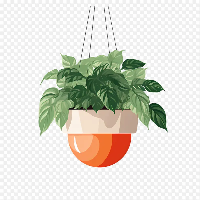 带盆的悬挂植物-带盆的悬挂植物盆栽悬挂植物橙色花盆绿叶
