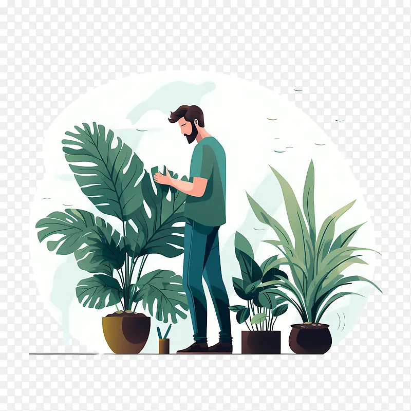 室内植物欣赏日-室内植物欣赏日植物园艺绿化树木