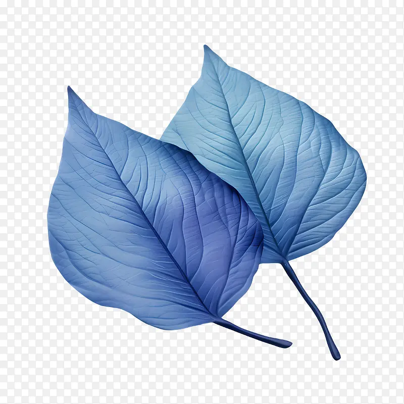 蓝色的叶子-蓝色的叶子蓝色的叶子水彩植物自然