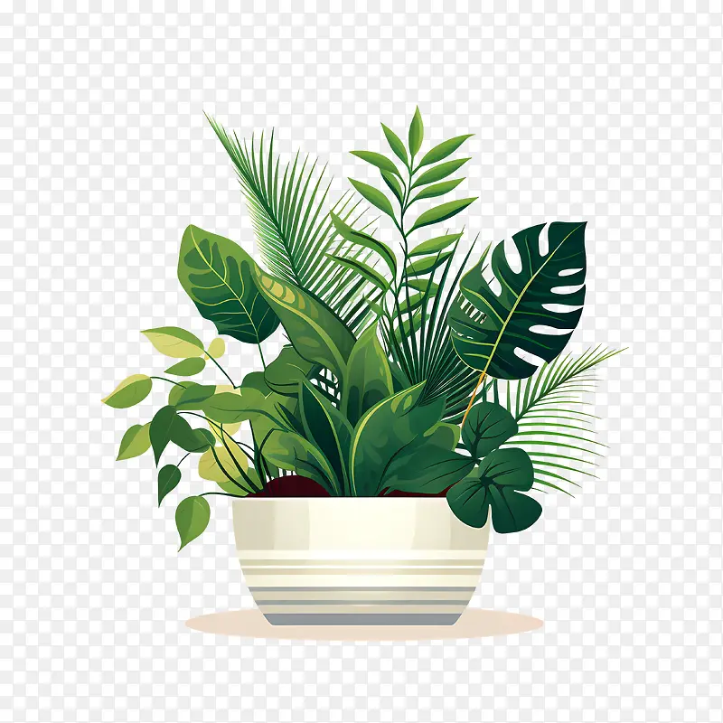 室内植物鉴赏日——蕨类植物