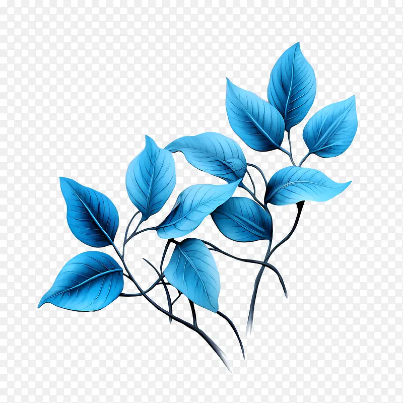 蓝色的叶子-蓝色的叶子蓝色的叶子树枝植物性质