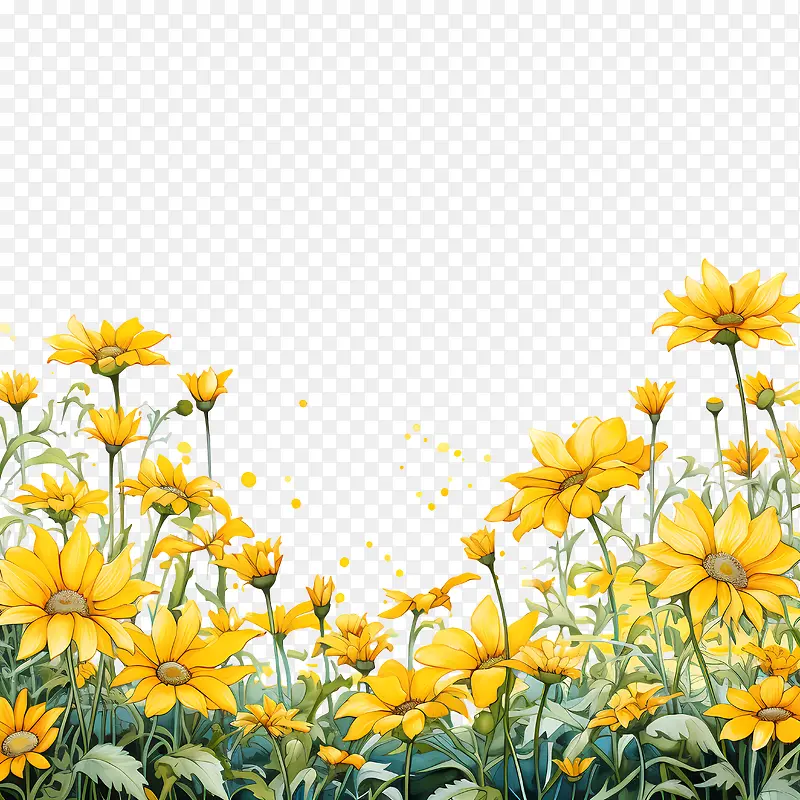 黄色的花朵-向日葵