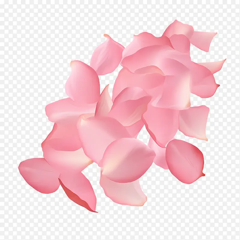 玫瑰花瓣-玫瑰花瓣