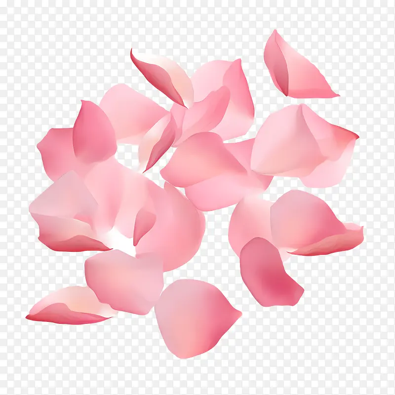 玫瑰花瓣-玫瑰花瓣