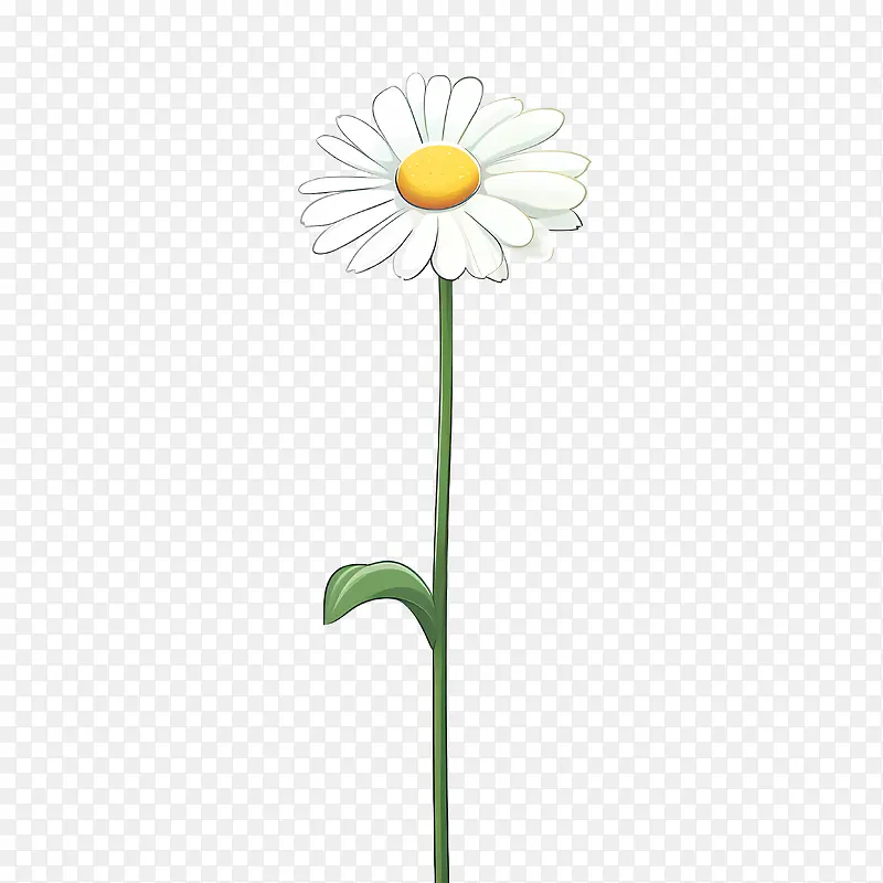 雏菊花-雏菊花