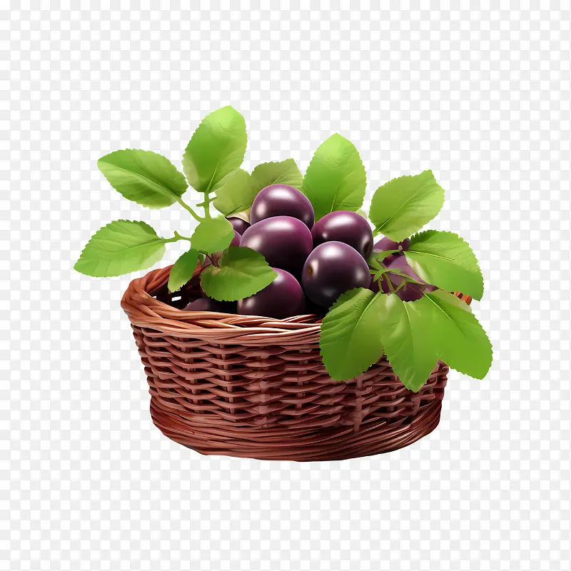 李子——收获的季节