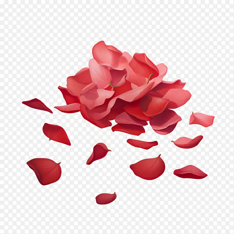 玫瑰花瓣-玫瑰花瓣