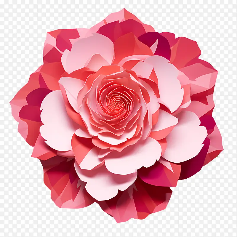 玫瑰花瓣-玫瑰花瓣