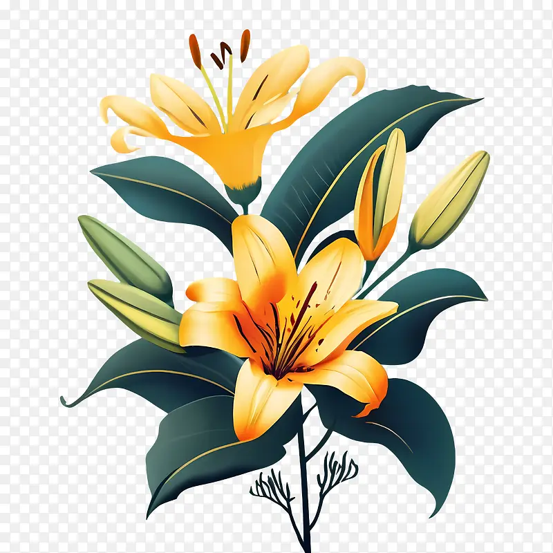 百合花-百合花百合花黄色花瓣