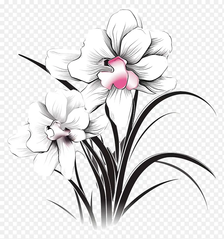 白色花朵-充满活力的水彩风格的白色和粉色花朵