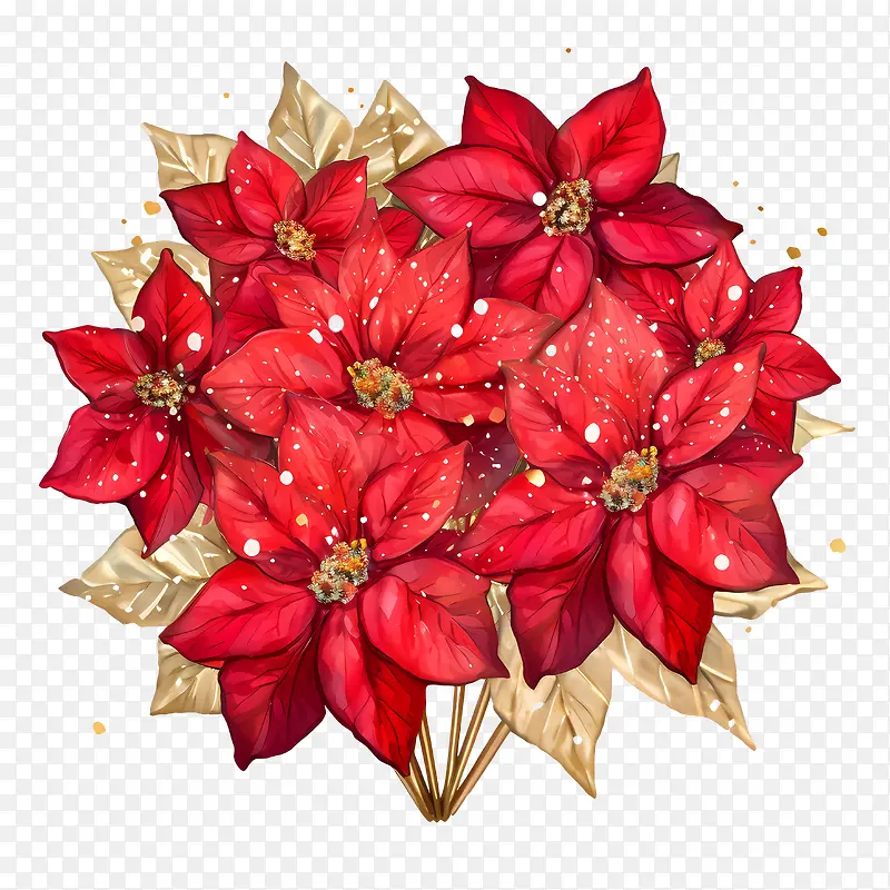 一品红花-金色亮片