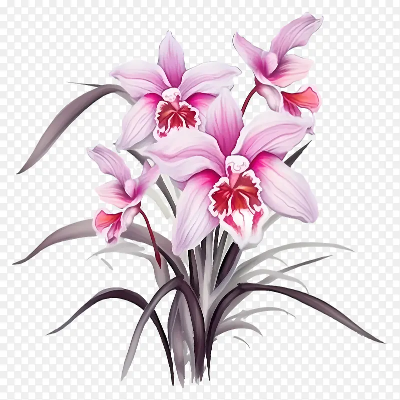 粉红色兰花-粉红色花瓶中对称的粉红色兰花花束