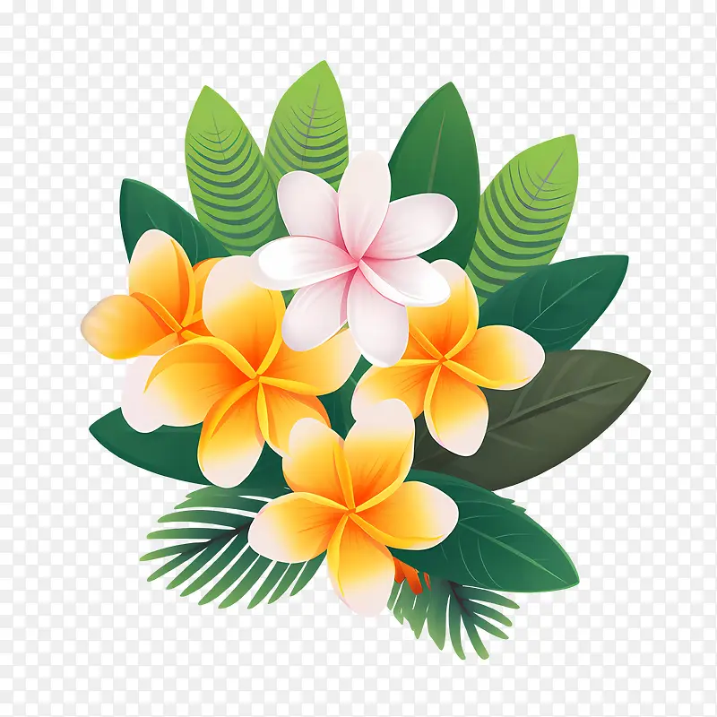 鸡蛋花花-鸡蛋花花