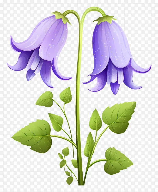 紫色的花朵-一簇簇紫色的花朵盛开着绿叶