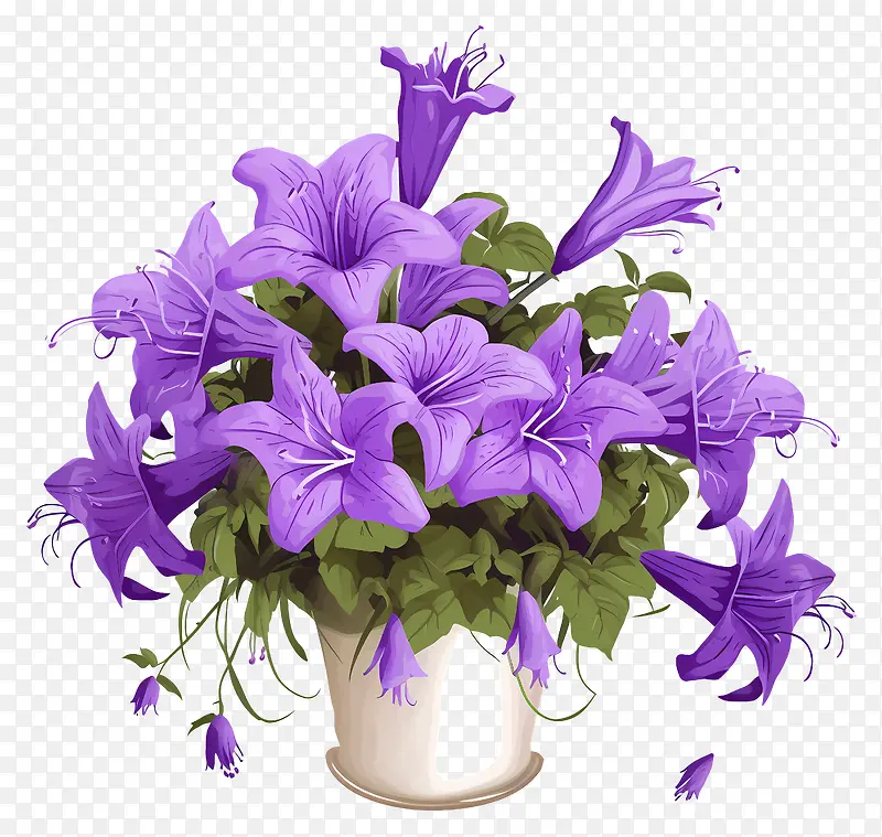 紫色的花朵-黑色背景花瓶中的紫色花朵