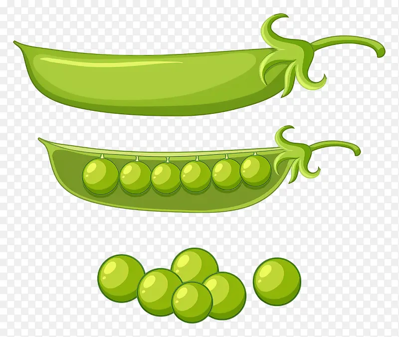 青豌豆-豆荚里长着六颗豌豆的青豌豆