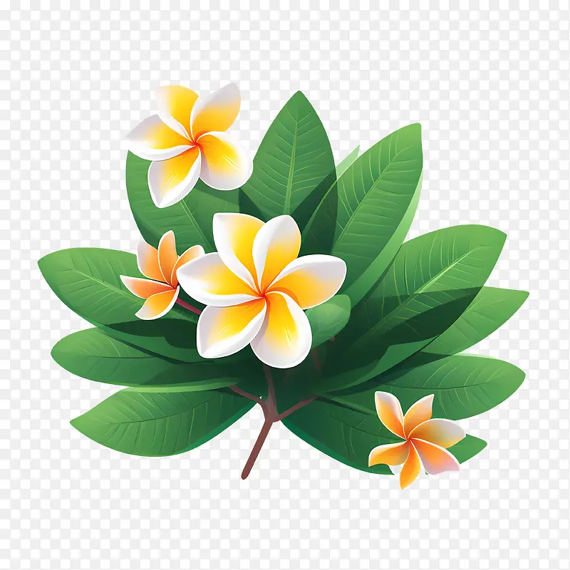 鸡蛋花花-鸡蛋花花