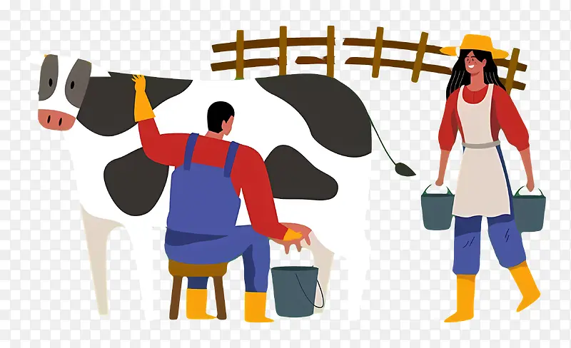 农民挤奶—农民在谷仓里平静地给健康的奶牛挤奶
