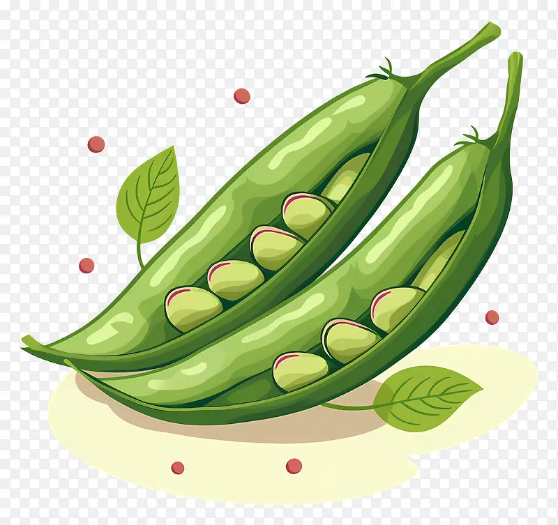 豌豆-新鲜的青豌豆和空的棕色豆荚