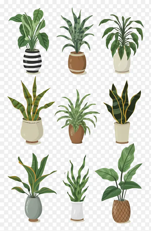 室内植物-深色背景中白色盆中的各种室内植物PNG图片素材下载_图片编号11335404-PNG素材网